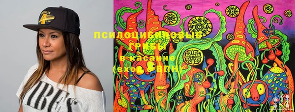 крисы Волосово