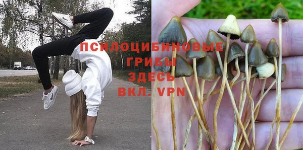 стафф Верхний Тагил