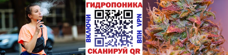 Марихуана тримм  Купить закладки  Кашин 